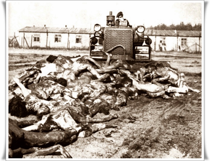 Holocaust nikoli več 12 (blog Don Marko M)